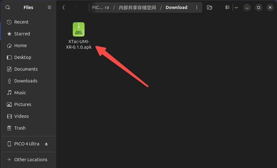 把 apk 拷进 Pico 的 Download 目录